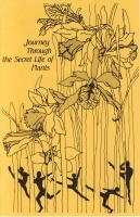 Secret Life of Plants 84-85 - cover